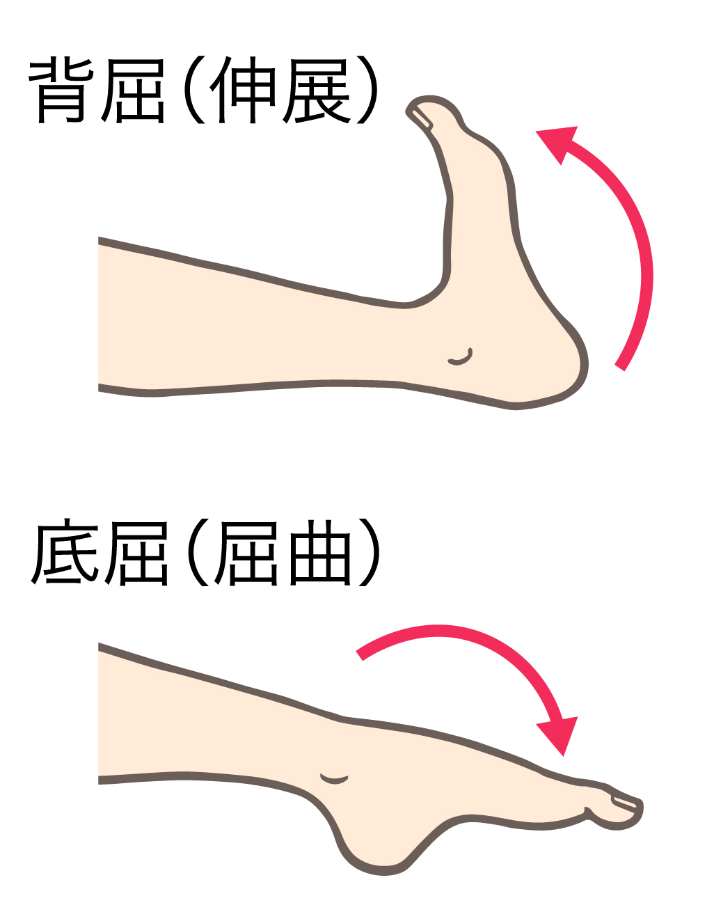 明け方の足の攣れに気を付けてください