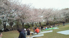 お花見