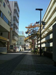 10月スタート