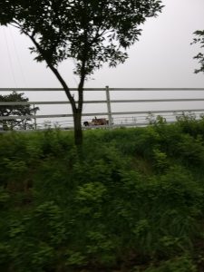 嶋田の夏休み　～後編～